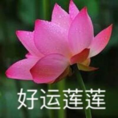 双彩网手机app下载